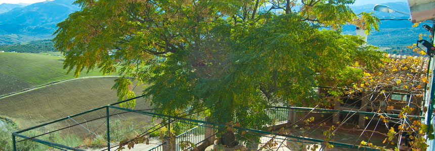 Casa Rural Periana