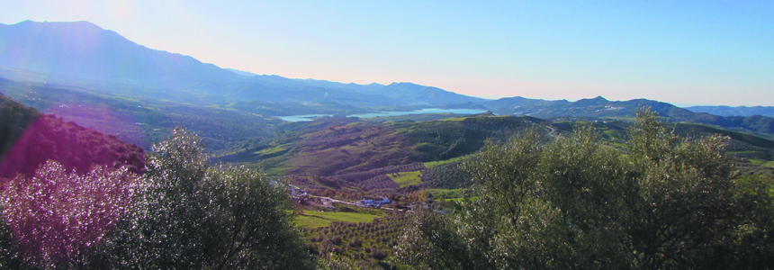 Casa Rural Periana